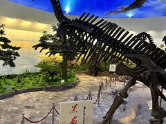-嘉荫恐龙国家地质公园