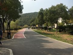 -龙寺生态园