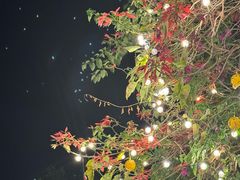 -大理老字号·舟渔的鱼野生菌海景餐厅(双廊店)