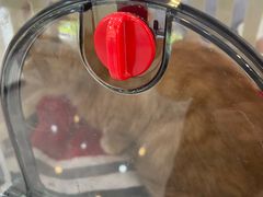 -贝康宠物医院·犬猫全科·小动物特色诊疗中心(东环路店)