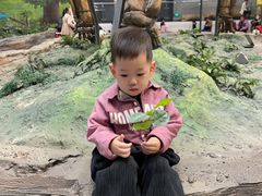 -辽宁古生物博物馆