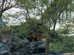 -和园景逸大酒店朗月汤泉
