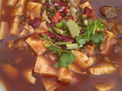 -天回镇何氏豆腐(总店)