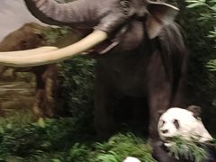 -柳州白莲洞洞穴科学博物馆