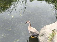 -东湖生态旅游风景区