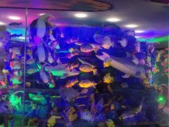 -成都泰迪熊博物馆