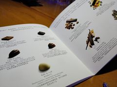 -Pierre Marcolini(德基广场店)