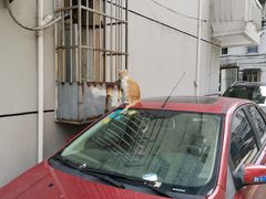 -家味螺蛳粉&烤鱼(五角场店)