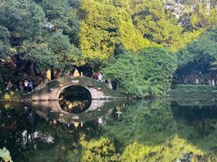 -绮园景区