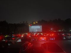 -枫花园汽车电影院(朝阳公园店)