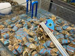-半岛听涛蒸汽海鲜自助(K11店)