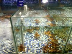 android_upload_pic-上座·餐厅(阳光100店)