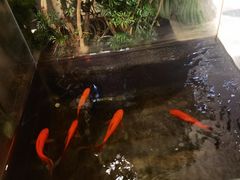 -北京银行(燕京支行)