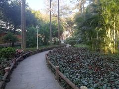 -船政文化景区-罗星塔公园