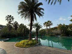 -广州都喜泰丽温泉度假酒店