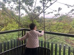 -上海崇明金茂凯悦酒店