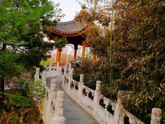 -中国中医科学院望京医院(院本部)