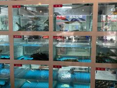 -石锅苗苗鱼(武汉首店)