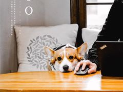 -KYO COFFEE(胶州路店)