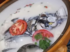 -全乐鱼馆·淳牌有机鱼直营店
