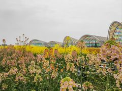 -中国天府农业博览园