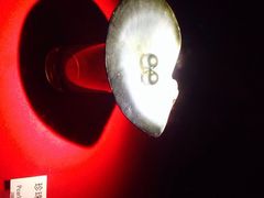 iphone_upload_pic-广东省博物馆