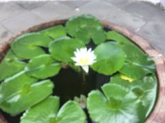 -胖哥俩肉蟹煲(爱琴海购物公园店)