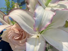 -花舍·新派粤菜·西餐·下午茶(亚运村·鸟巢店)