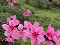 -重庆彩云湖湿地公园