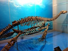 -自贡恐龙博物馆