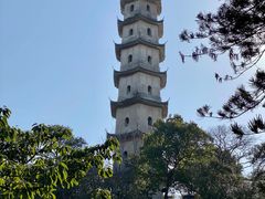 -江心屿景区