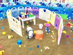 -佳贝爱益智主题儿童乐园(乐尔乐旗舰店)