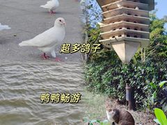 -顺峰山公园