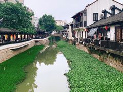 南翔小笼包-双塔老饭店