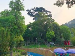 -苏州乐园森林水世界