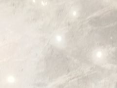 -海派美食·家宴海鲜青岛菜·石锅鲽鱼头(东方城店)