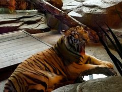 -皇家极地海洋世界-售票处