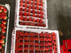 -东方鼎信农副产品交易中心