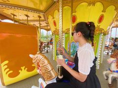 -凤凰欢乐大世界