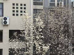 -江南大学(蠡湖校区)