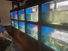 -宁波柏悦酒店·钱湖渔港