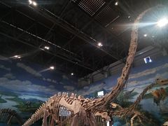 -自贡恐龙博物馆