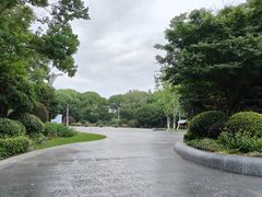 -昆山城市生态森林公园