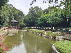 -月亮湾公园