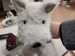 -泡泡玛特POPMART(龙湖杭州滨江天街店)