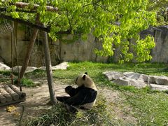 -上海野生动物园