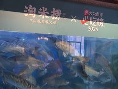 -淘米捞·米汤脆鲩鱼火锅(福田皇岗店)