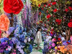 -正佳雨林生态植物园