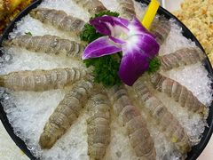 瀨尿蝦刺身-嘉升大排档(番禺总店)