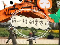 -前小桔亲子创意农场·草莓采摘·露营烧烤